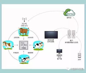 一個你不知道的神器！不了解它，連牛羊都不讓你養，你還談什么智慧養殖？